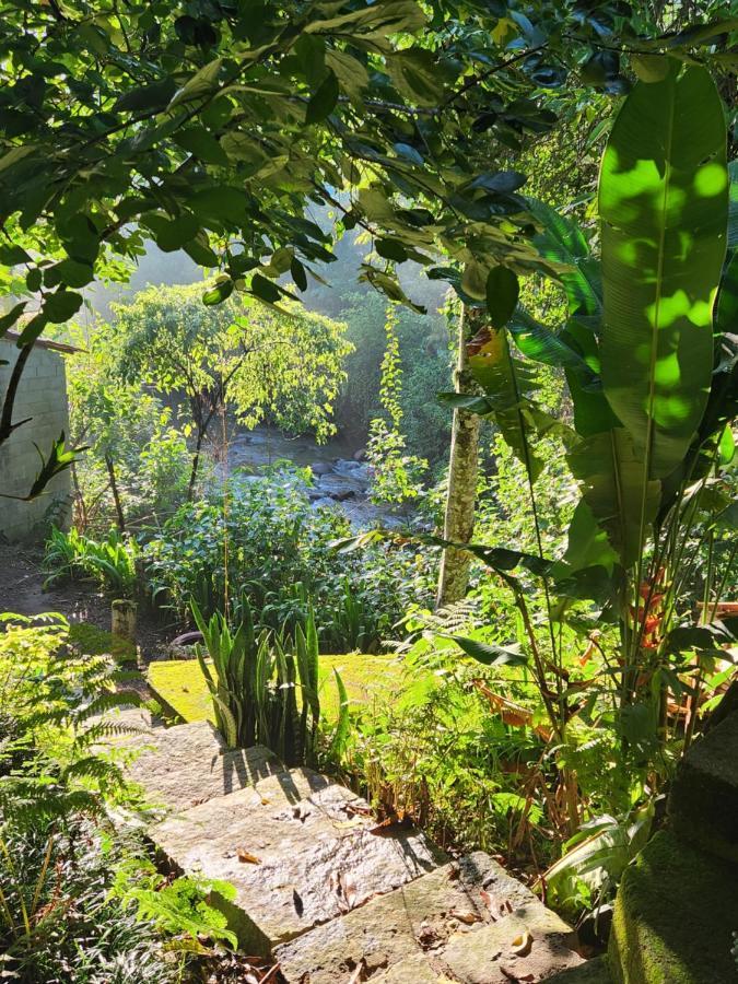 Hospedaria E Camping Quintal Do Mundo لوميار المظهر الخارجي الصورة